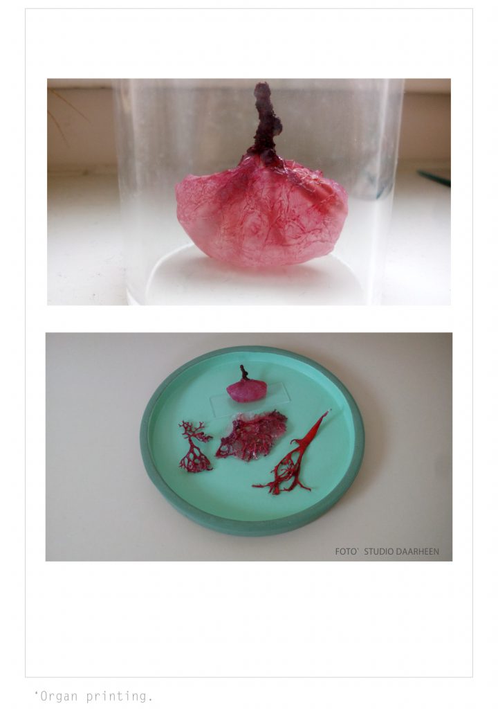 printed organs