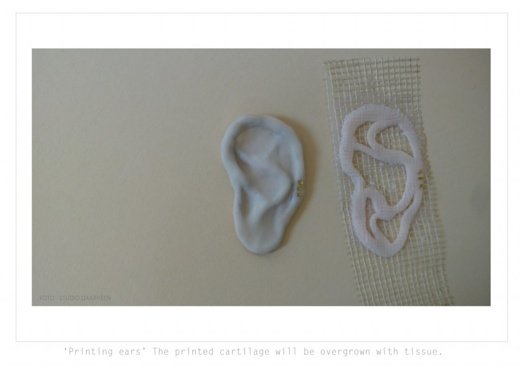 printed organs printed ear