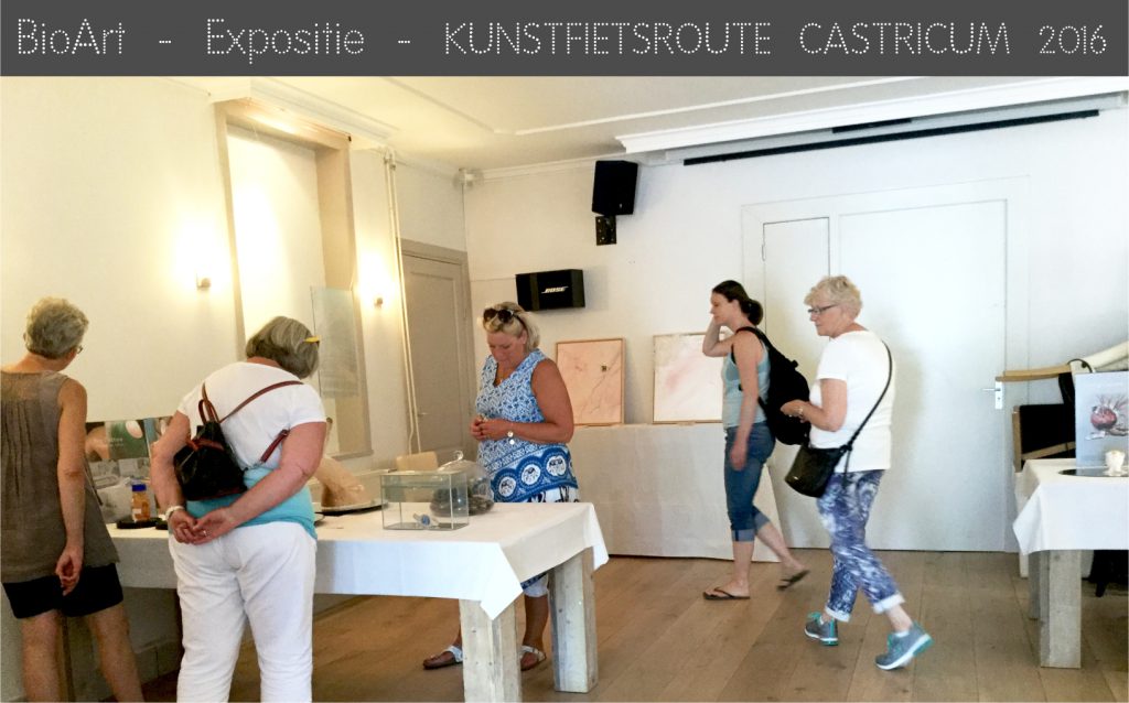 Kunstfietsroute Castricum met BioArt van Nicole Spit in de Dorpsstraat 23