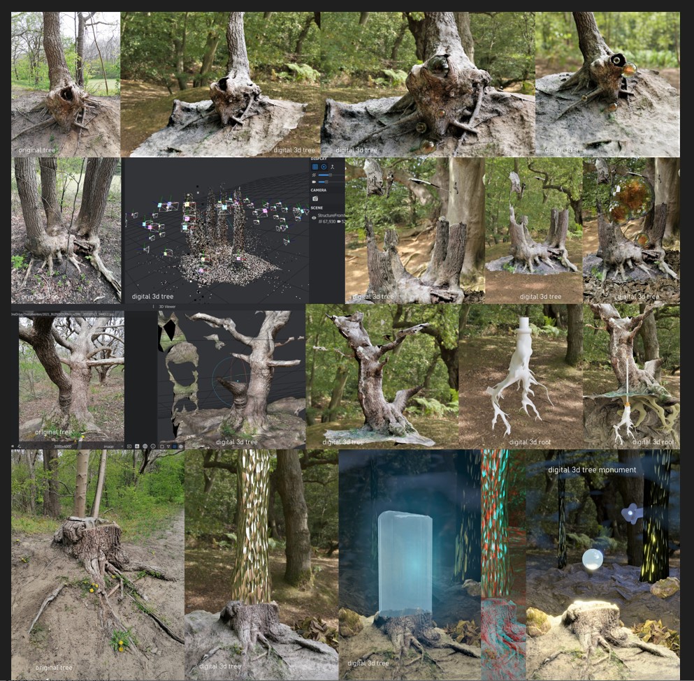 Digital Tree Monument, store trees in a virtual arboretum
