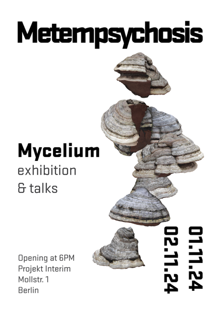 Mycelium exhibition 'METEMPSYCHOSIS' by Sylia in Berlin